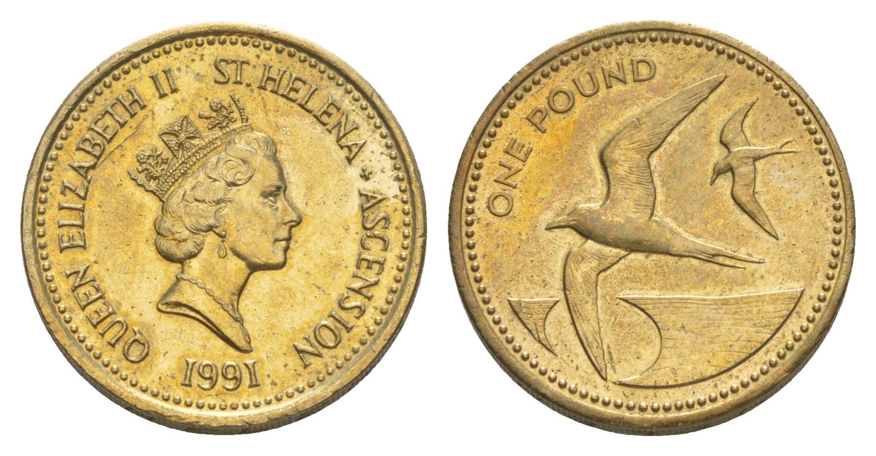 Острова Святой Елены и Вознесения 1 фунт 1991 KM 17 никель латунь UNC 4646-543