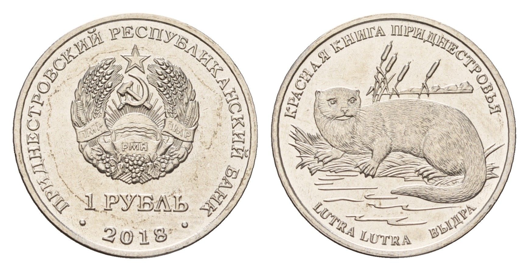 Приднестровье 1 рубль 2018 Красная книга - Выдра (Lutra lutra) KM 299 сталь плакированная никелем UNC 4669-1119