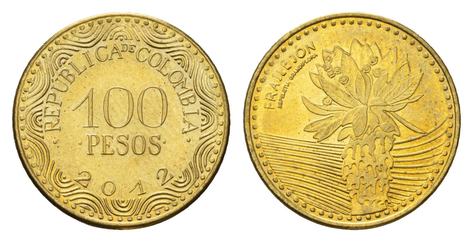 Колумбия 100 песо 2012 KM 296 сталь плакированная латунью UNC 4696-1262