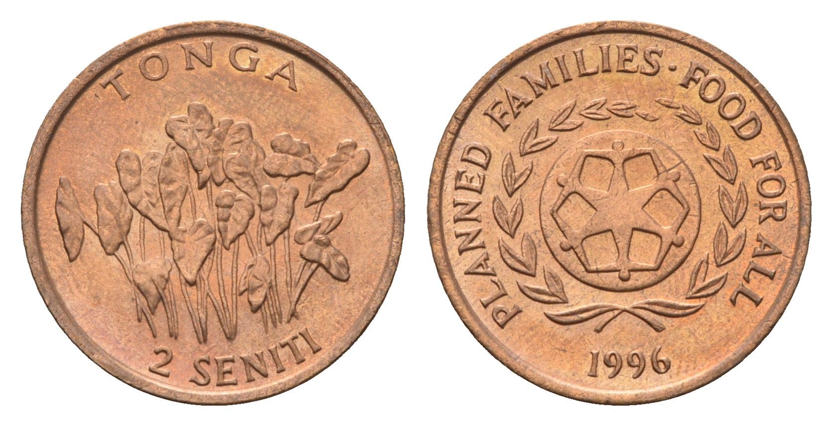 Тонга 2 сенити 1996 ФАО - Планирование семьи KM 67 бронза UNC 4395-711