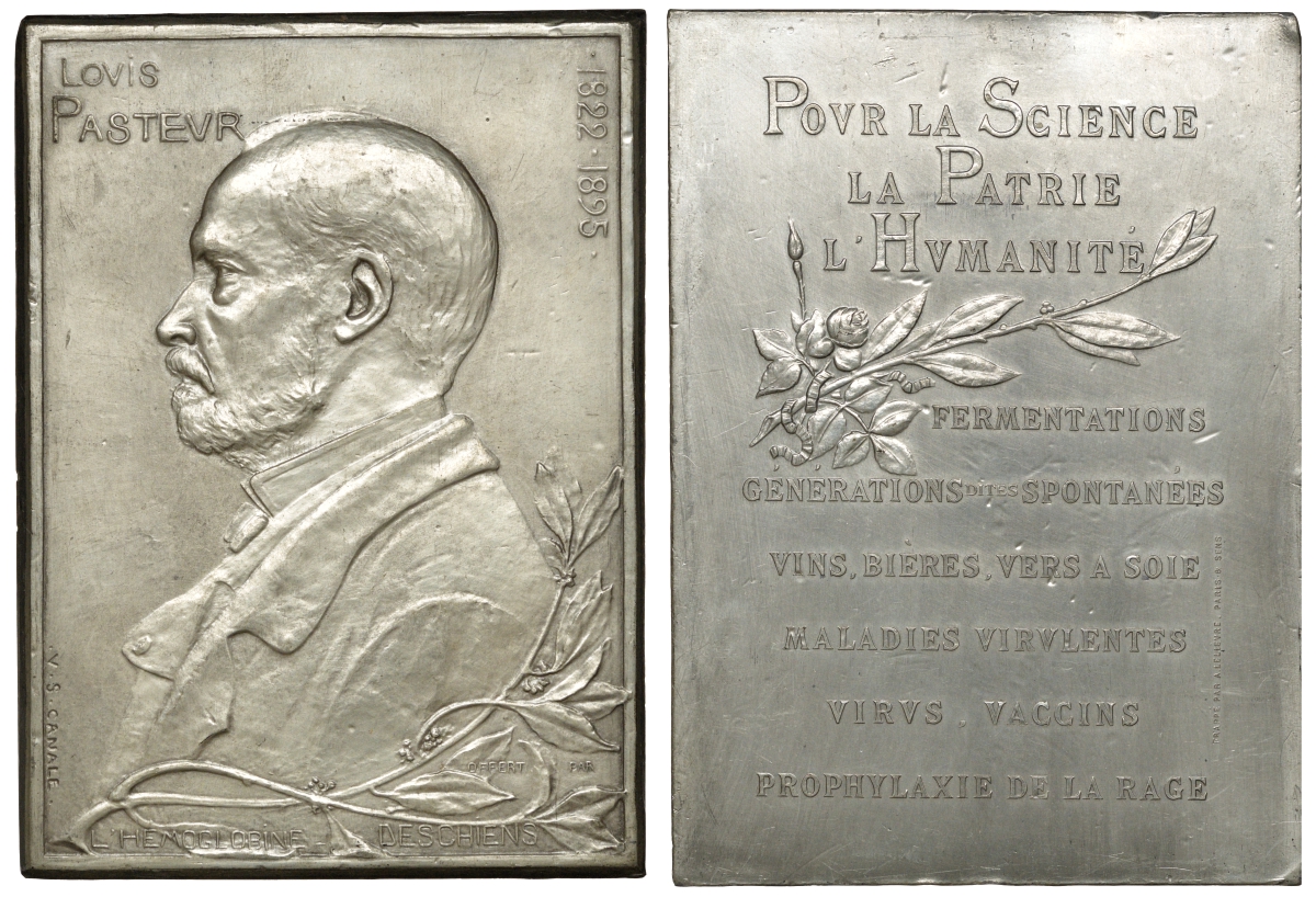 Франция плакетка 1895 Луи Пастер (1822-1895), 111мм на 81 мм посеребренная бронза 00-00