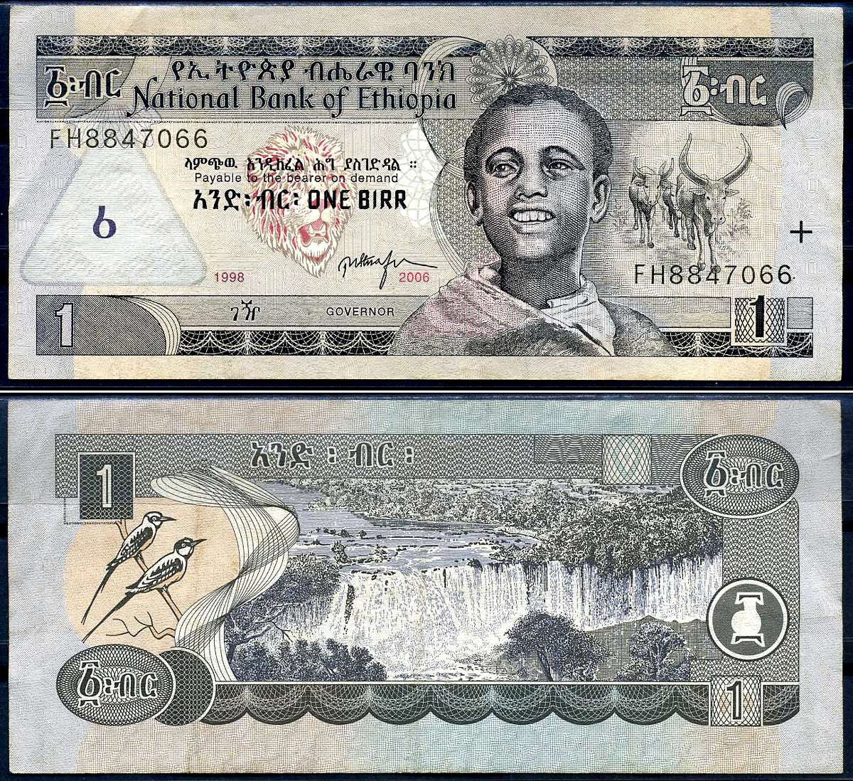 Эфиопия 1 быр ED 1998 AD 2006 Pick 46 d бумага 8592-3-1-1