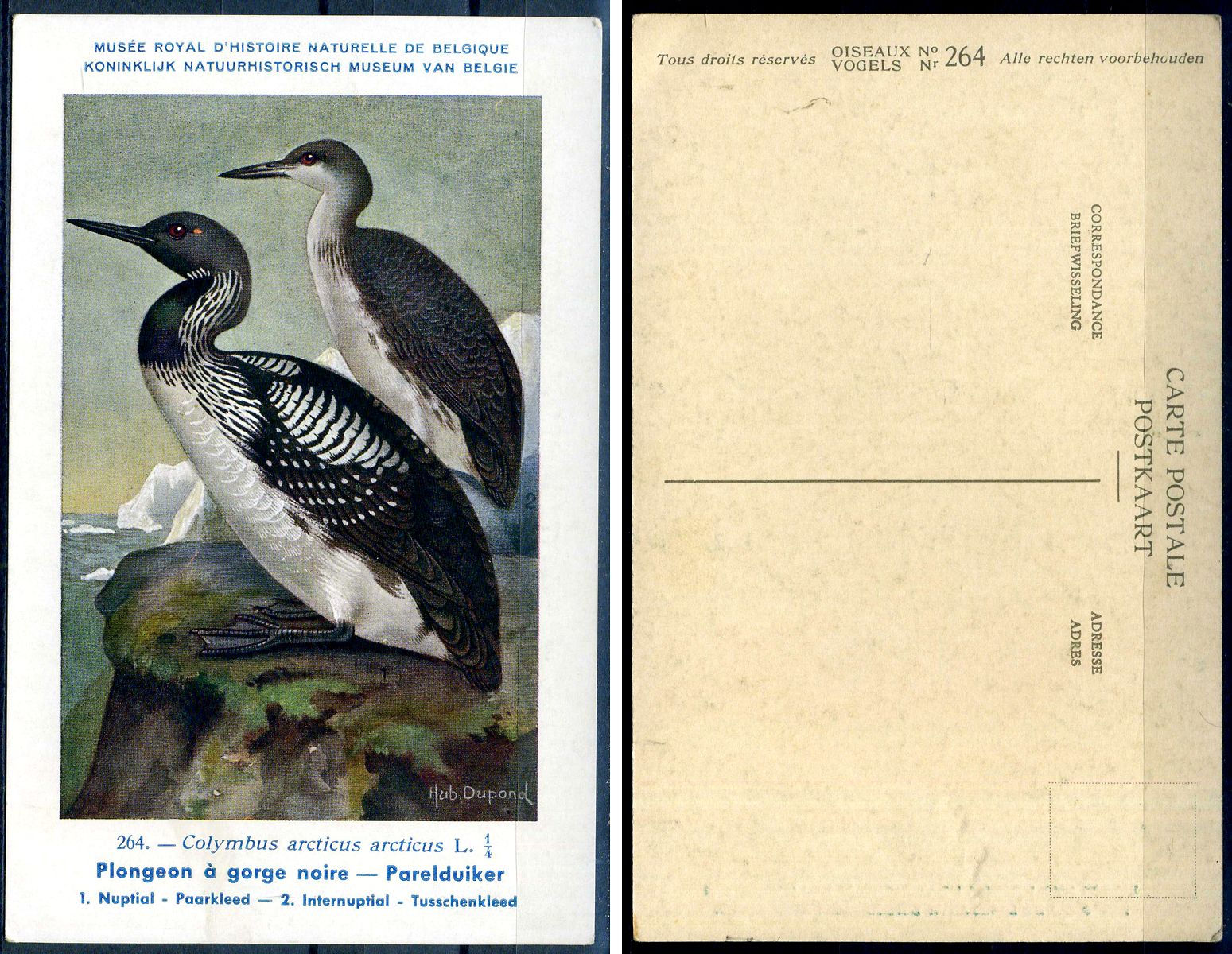 Бельгия carte postale - открытое письмо Королевский бельгийский институт естественных наук 2193-72