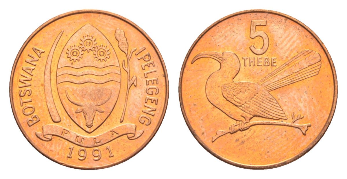 Ботсвана 5 тхебе 1991 Дамарская красноклювая птица-носорог KM 4a сталь плакированная медью UNC 39-1065