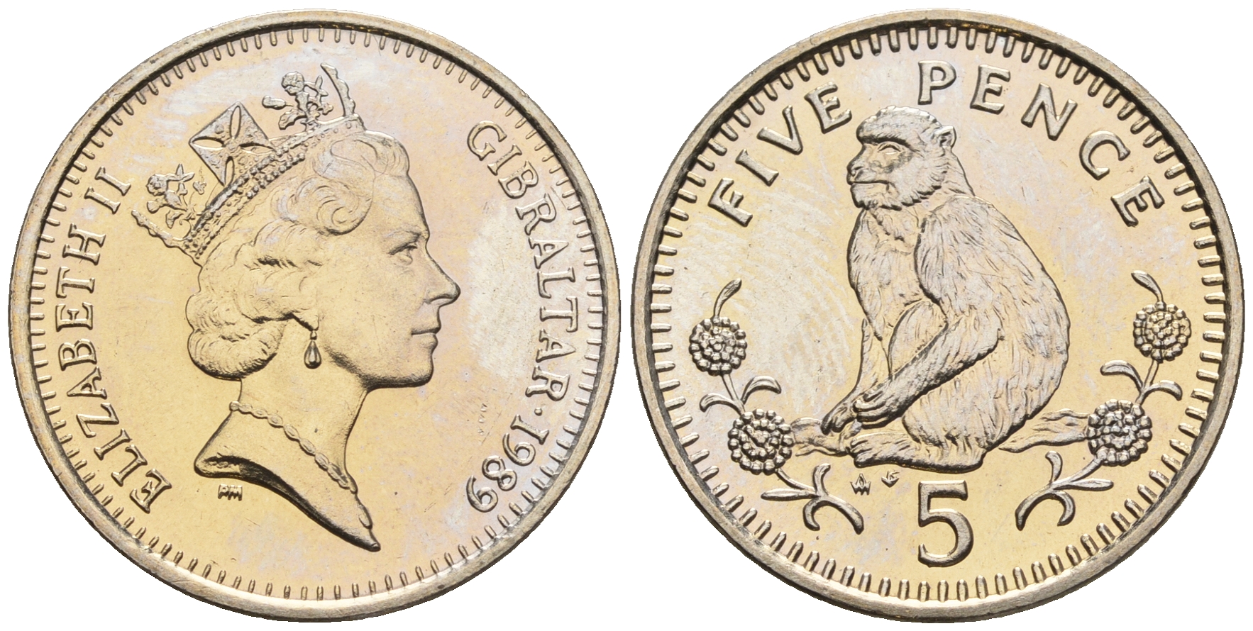 Гибралтар 5 пенсов 1989 АВ обезьяна KM 22 медно-никель UNC 87-616