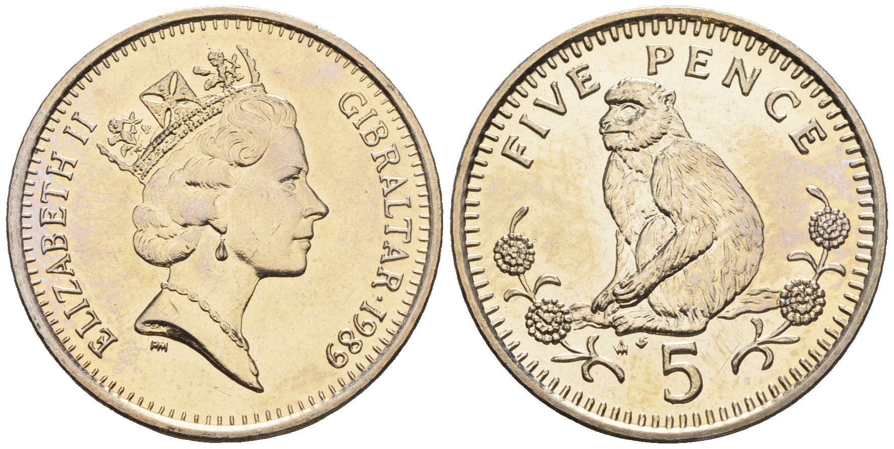 Гибралтар 5 пенсов 1989 АВ обезьяна KM 22 медно-никель UNC 87-551