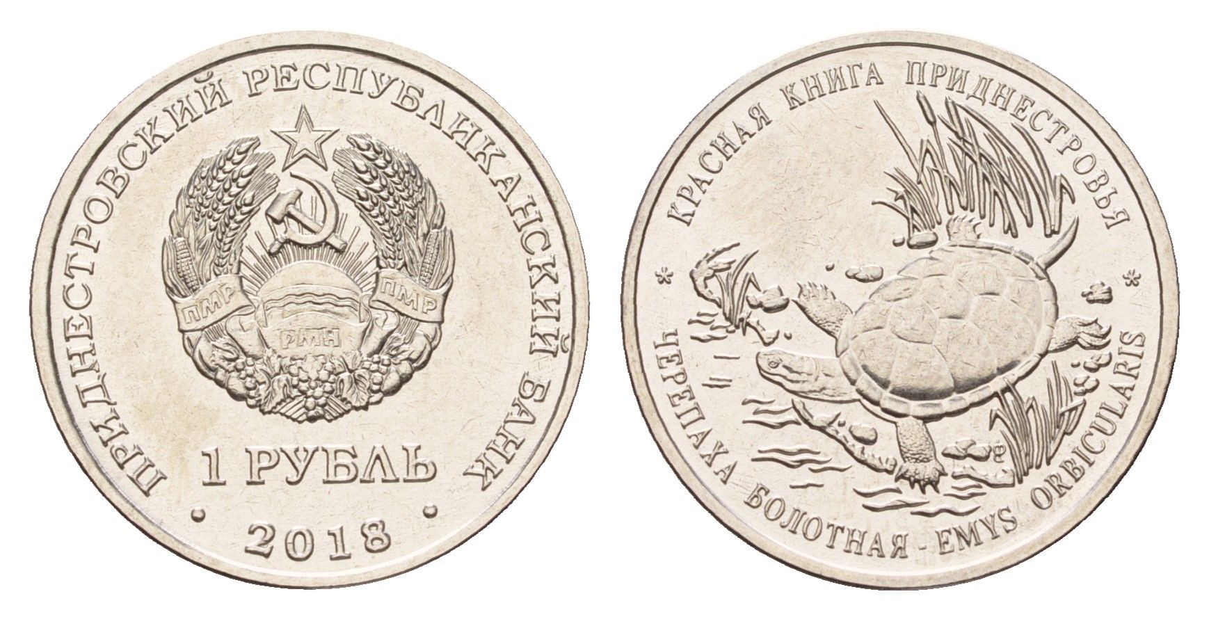 Приднестровье 1 рубль 2018 Красная книга - Черепаха болотная KM 301 сталь плакированная никелем UNC 4669-1121