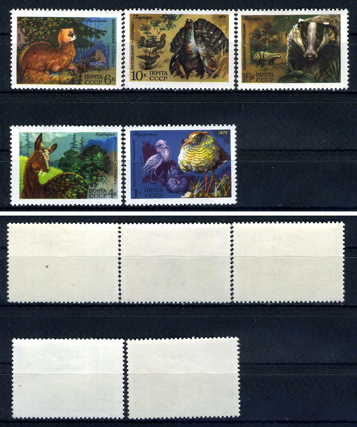 СССР набор из 5 марок (1, 4, 6, 10 и 16 копеек) 1975 Фауна СССР - Турухтан, кабарга, колонок, глухарь, барсук Загорский 4445, 4446, 4447, 4448 и 4449    марка с оригинальным клеем, без следов наклейки (чистая) 8707-4-8-2