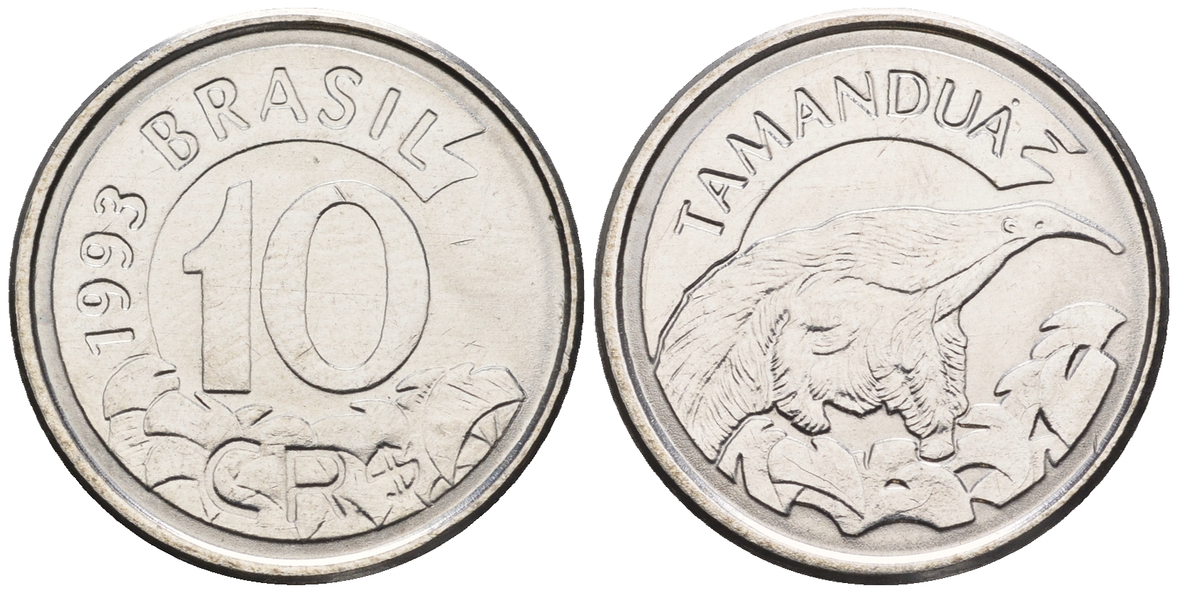 Бразилия 10 крузейро реал 1993 муравьед KM 628 нержавеющая сталь 87-554