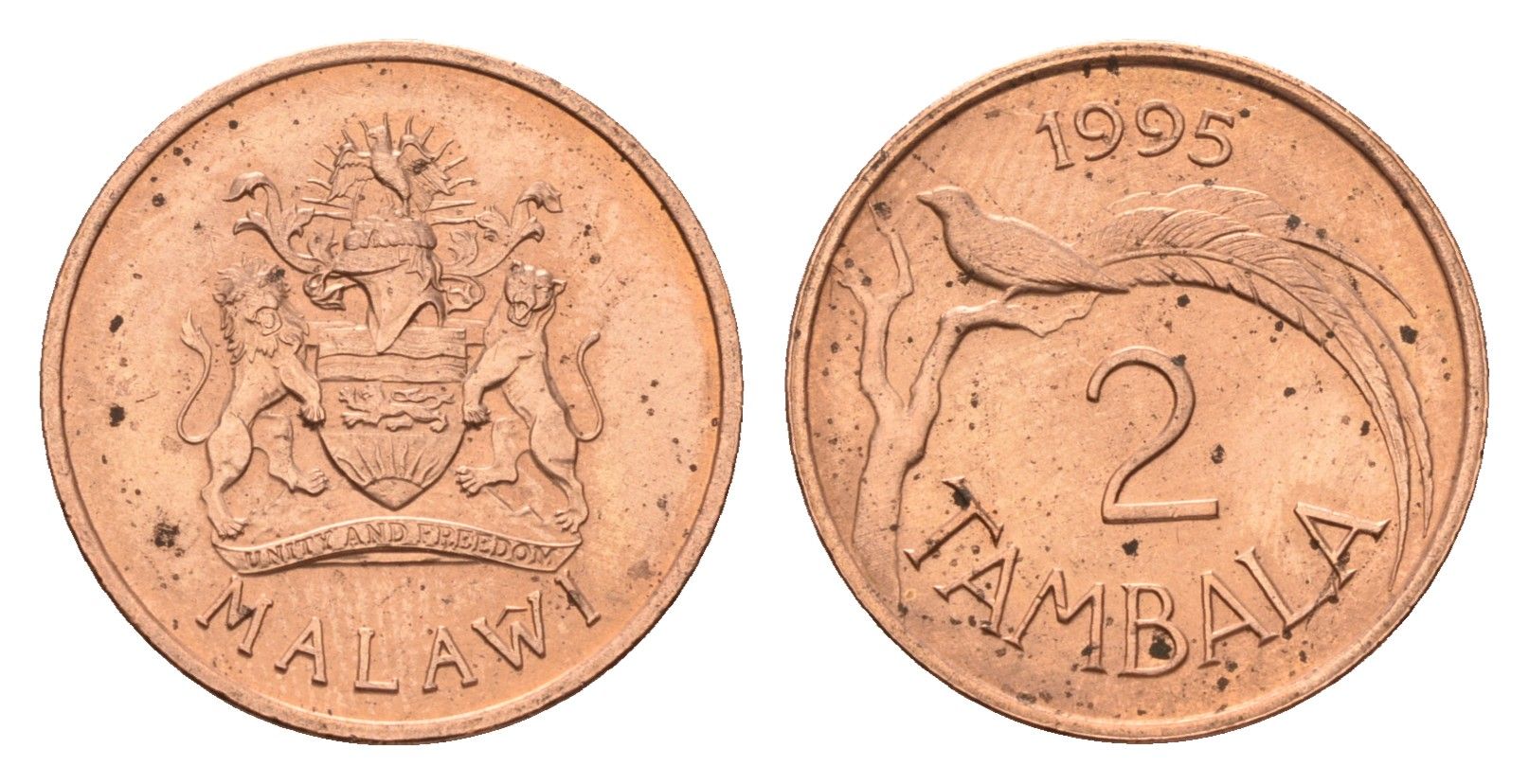 Малави 2 тамбалы 1995 KM 34 бронза UNC 4588-947