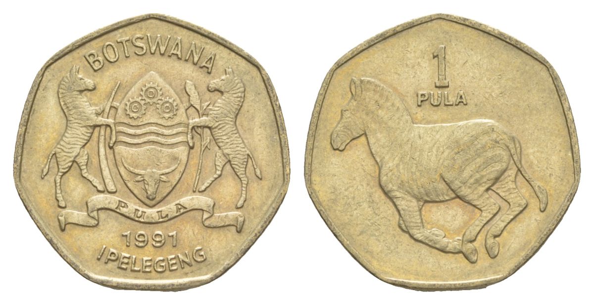 Ботсвана 1 пула 1991 Зебра KM 24 никель латунь 51-2312