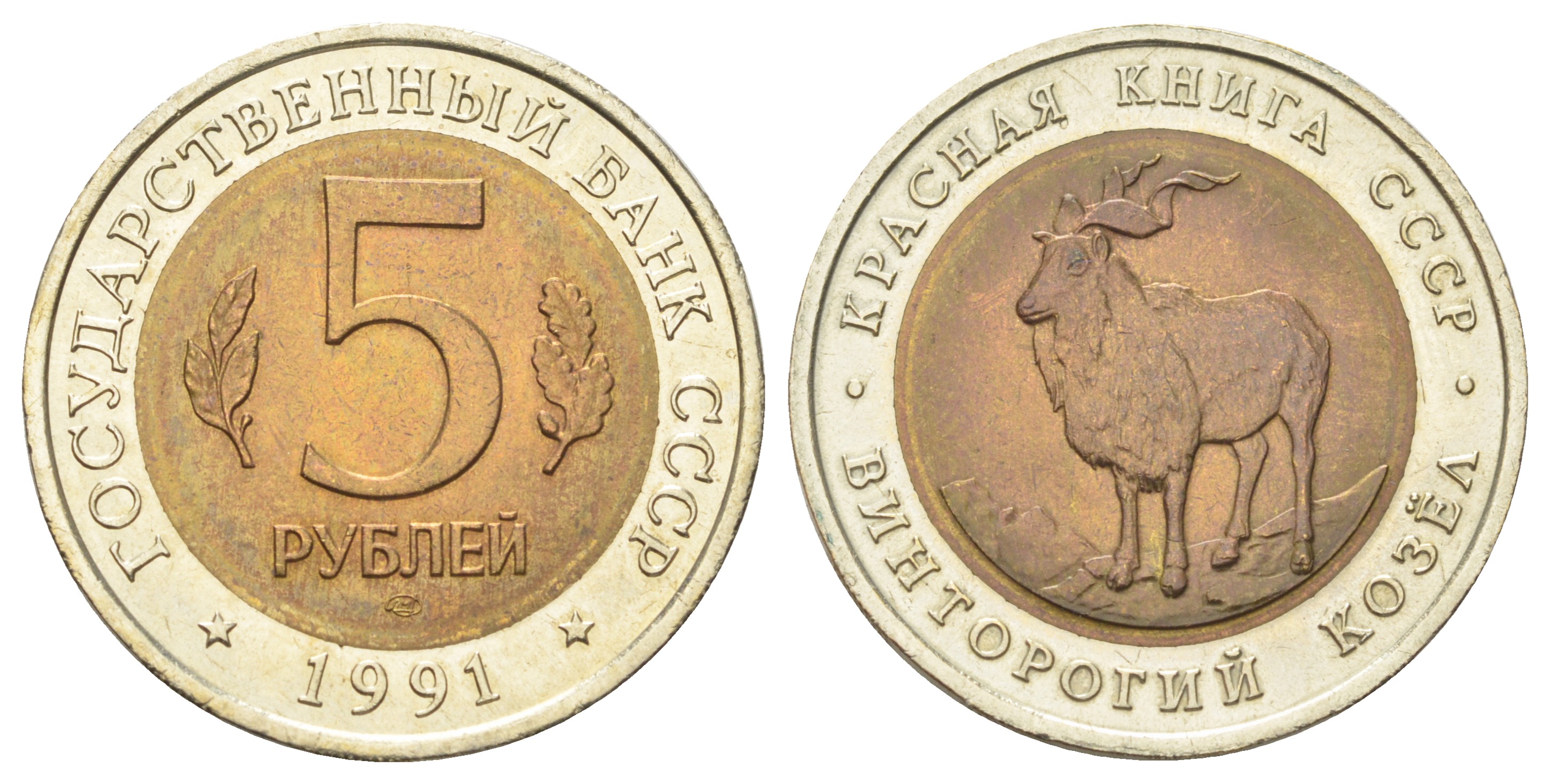 СССР 5 рублей 1991 Красная книга - Винторогий козел Y 281 биметалл UNC 63-824