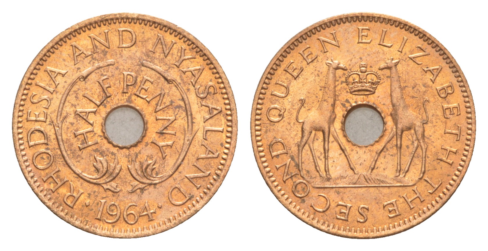Родезия и Ньясаленд 1/2 пенса 1964 Елизавета II (1952-2022), жирафы KM  1 бронза  UNC  4640-867