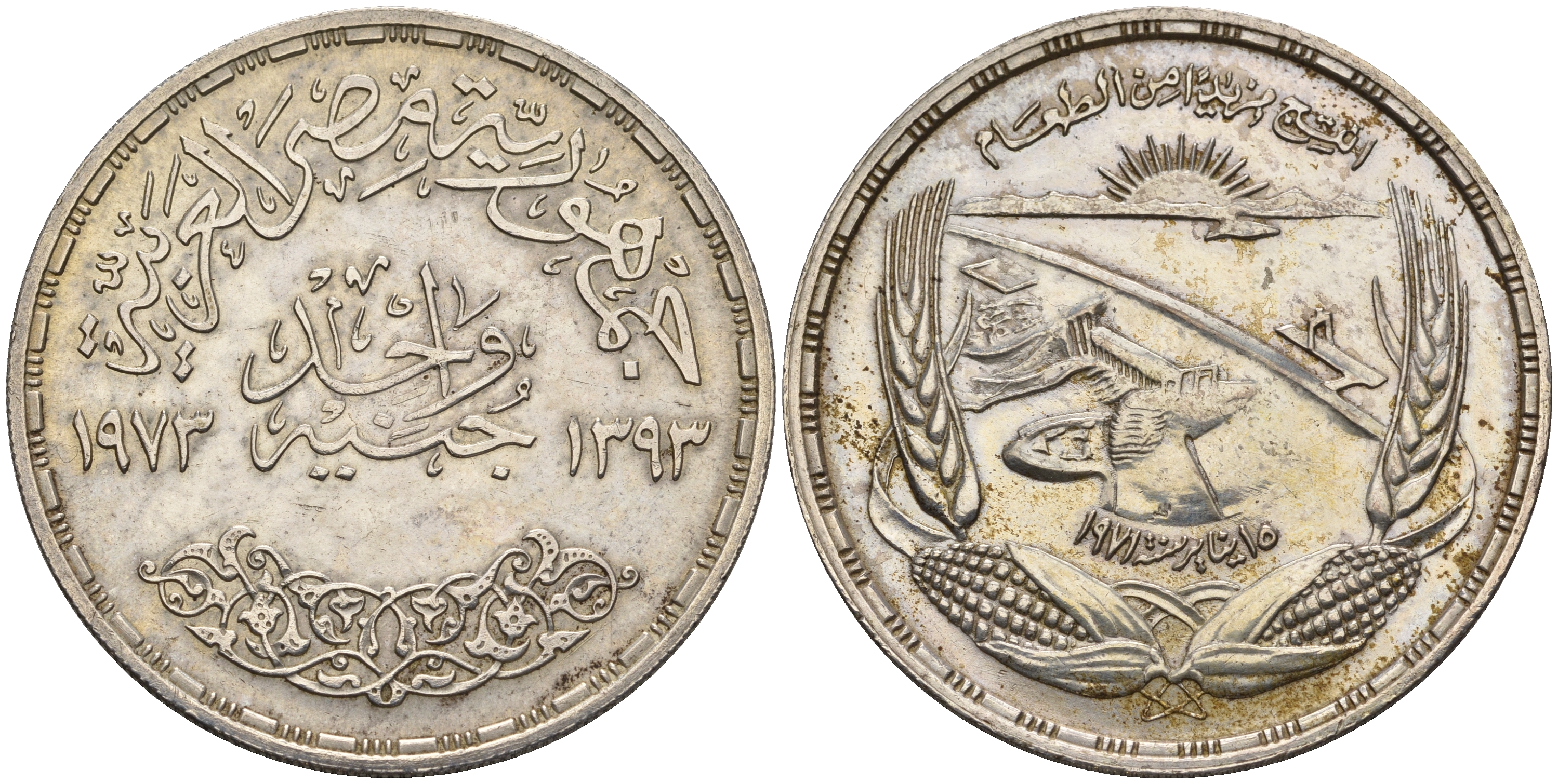 Египет 1 фунт 1973 АН1393, FAO, Асуанский гидроузел на реке Нил, ГЭС, плотина, початки кукурузы, колосья KM 439 серебро 11-159-34