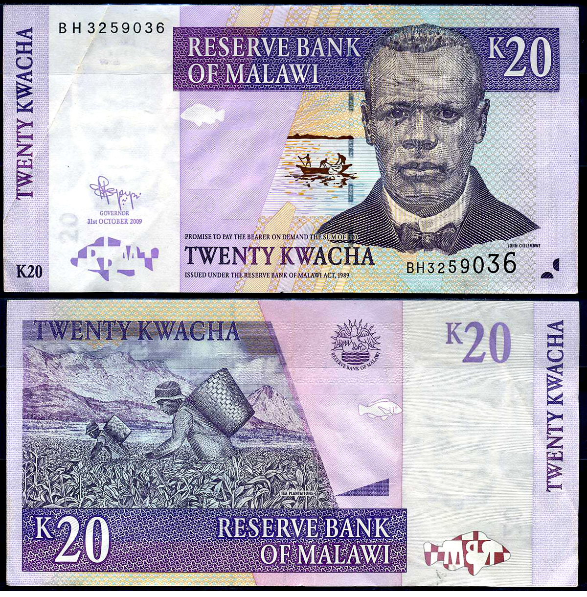 Малави 20 квача 2009 Джон Чилембве, озеро Малави, сбор чая Pick 52 d бумага 8564-49-4-2