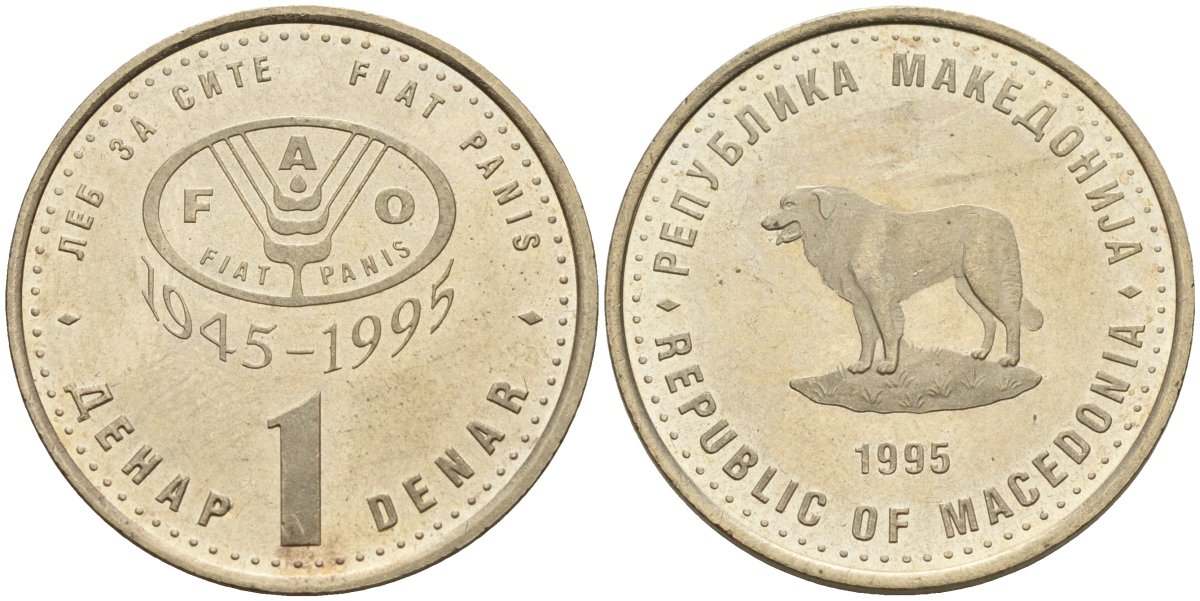 Северная Македония 1 денар 1995 50 лет ФАО KM 5a медь цинк никель 4141-547