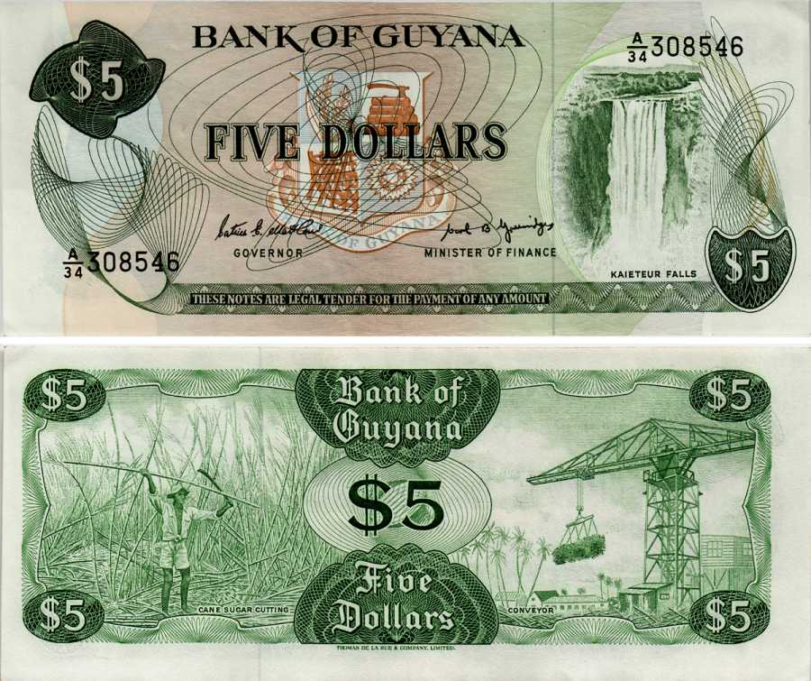 ГАЙАНА 5 ДОЛЛАРОВ 1989 ПОДПИСЬ 7, ВОДОПАД КАЙЕТУР Pick 22е бумага XF 6281-51-4-1