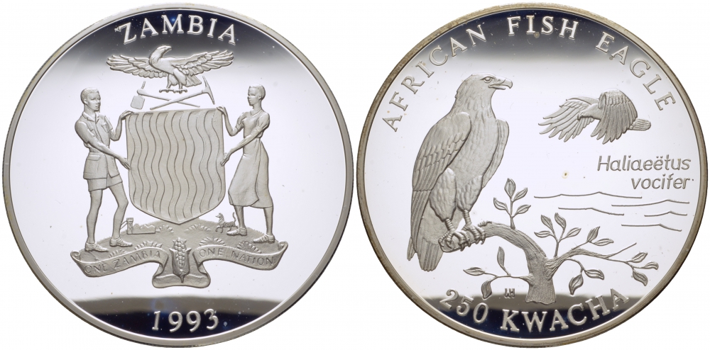 Замбия 250 квача 1993 Африканский рыбный орел, тираж 5000 экземпляров KM 34 серебро PROOF 01-097-12-1