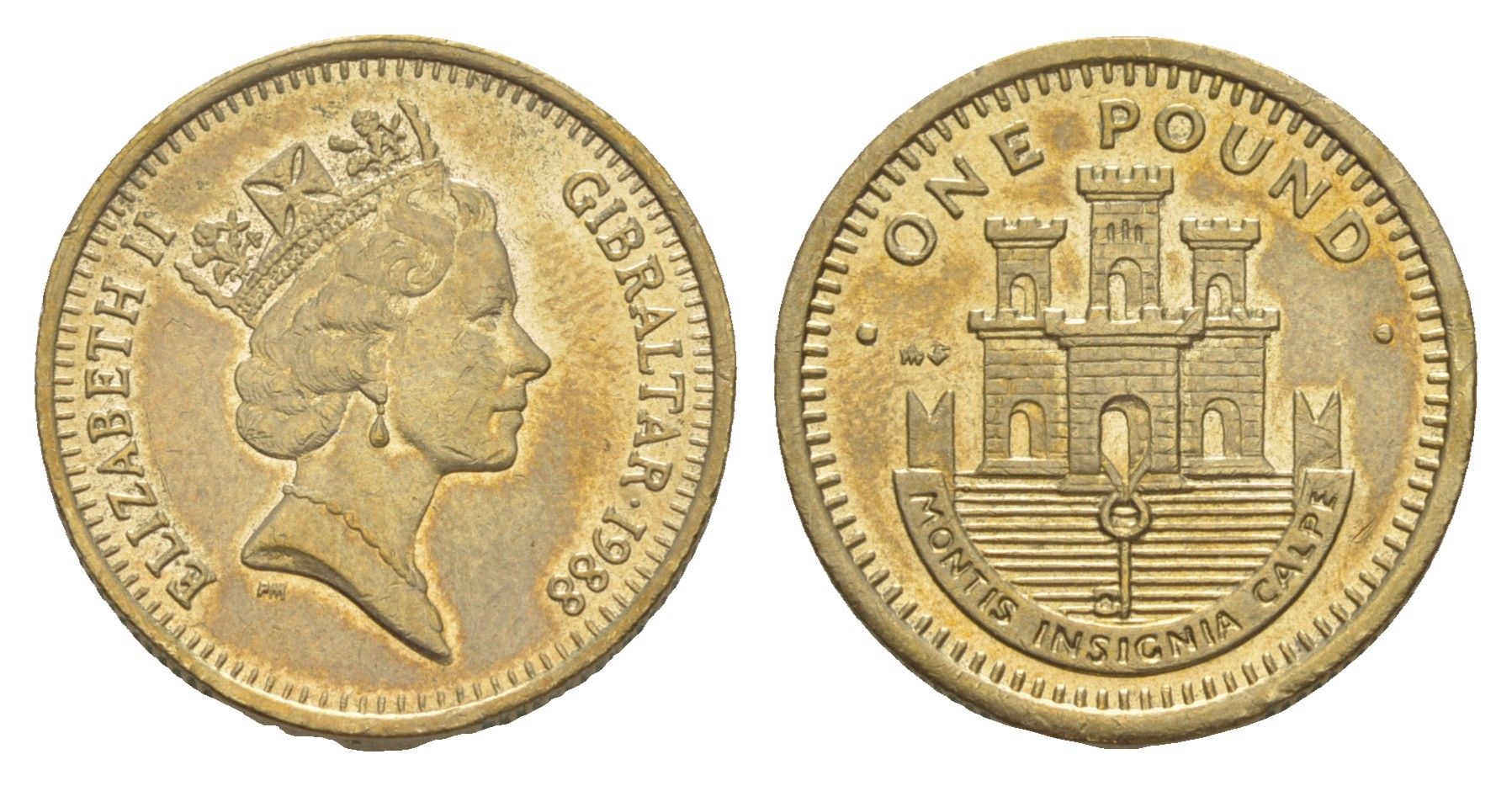 Гибралтар 1 фунт 1988 Елизавета II (1952-2022) KM 18 никель латунь 4646-1056