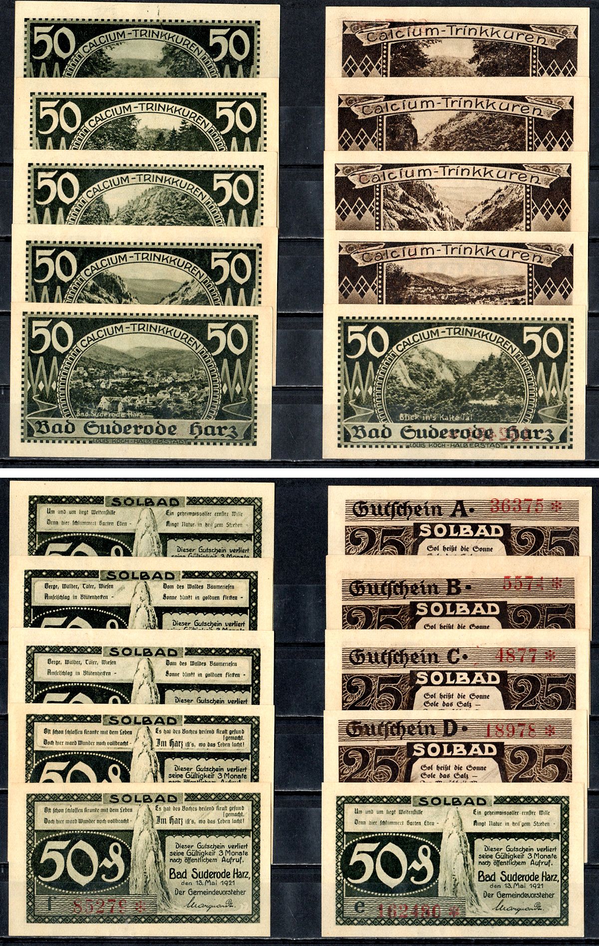 Бад-Зудероде (Пруссия, Саксония) полный набор из 10 нотгельдов (25 и 50 пфеннигов) 1921 Mehl Grabowski 1292.1a бумага UNC (пресс) 7556-54-3-3