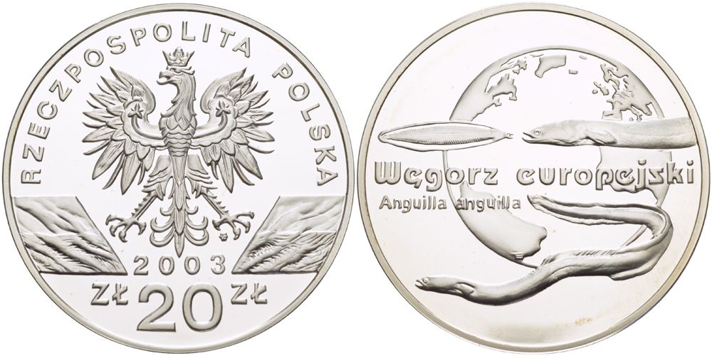 Польша 20 злотых 2003 MW, серия сохраним наш мир, европейский угорь KM 449 серебро PROOF 1080-5-61
