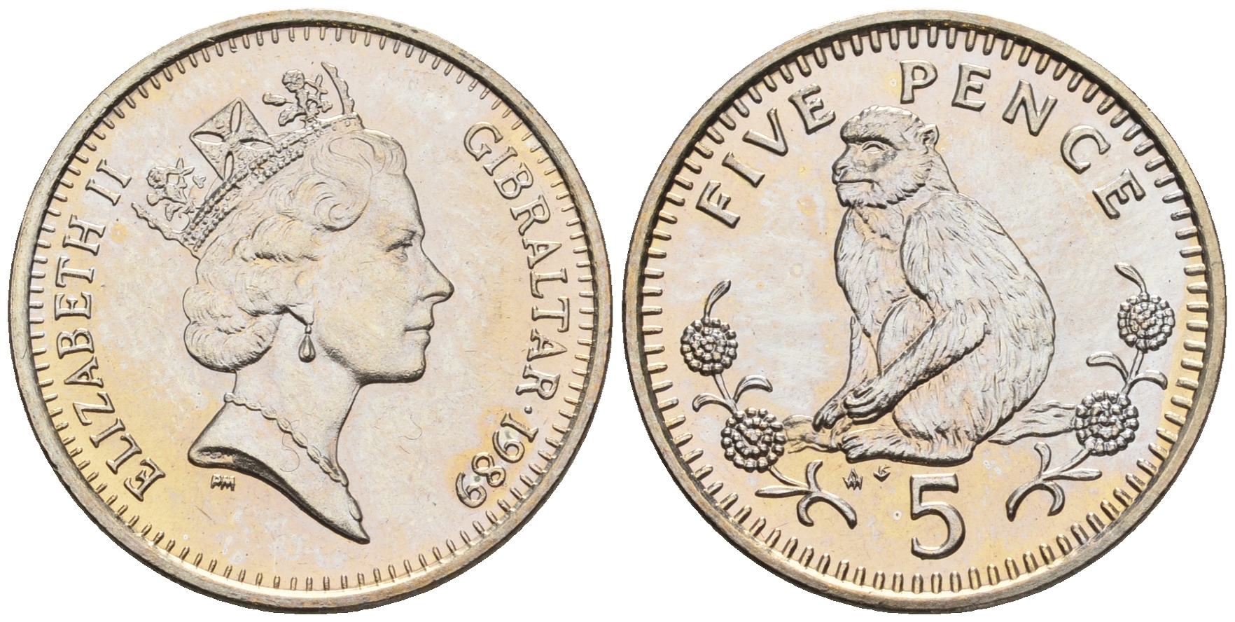 Гибралтар 5 пенсов 1989 АВ обезьяна KM 22 медно-никель UNC 87-534