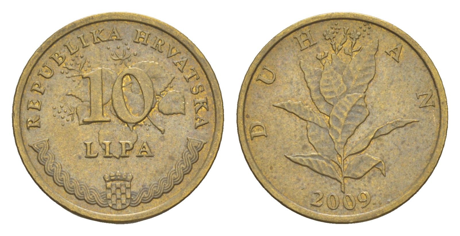 Хорватия 10 лип 2009 табак обыкновенный, нечетный год KM 6 сталь плакированная латунью 3309-618