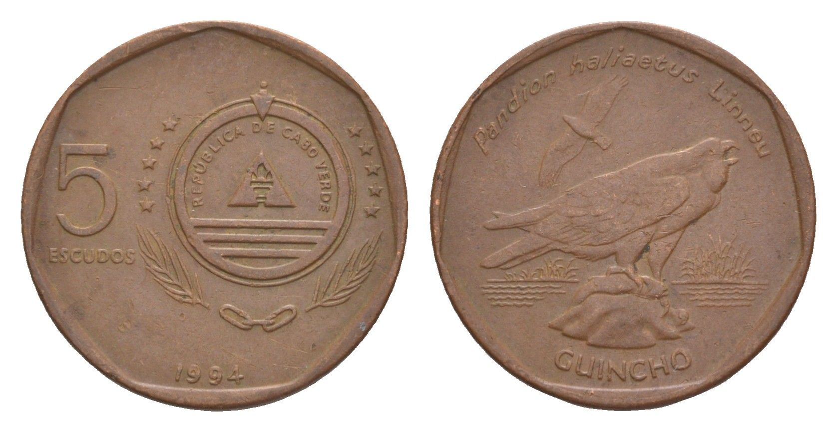 Кабо-Верде 5 эскудо 1994 KM 28 сталь плакированная медью 4643-634