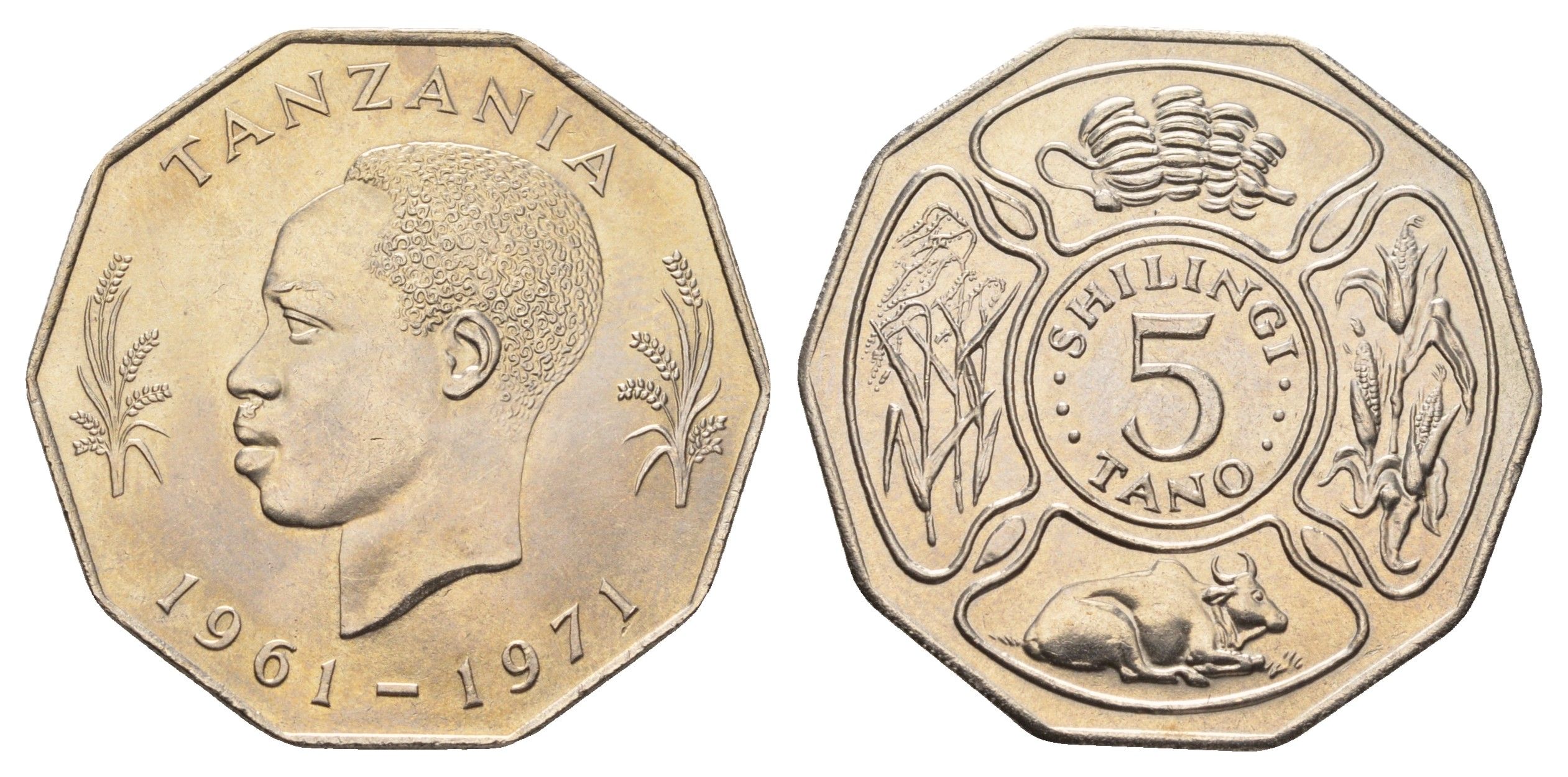 Танзания 5 шиллингов 1971 10 лет Независимости KM 5 медно-никель UNC 57-1025