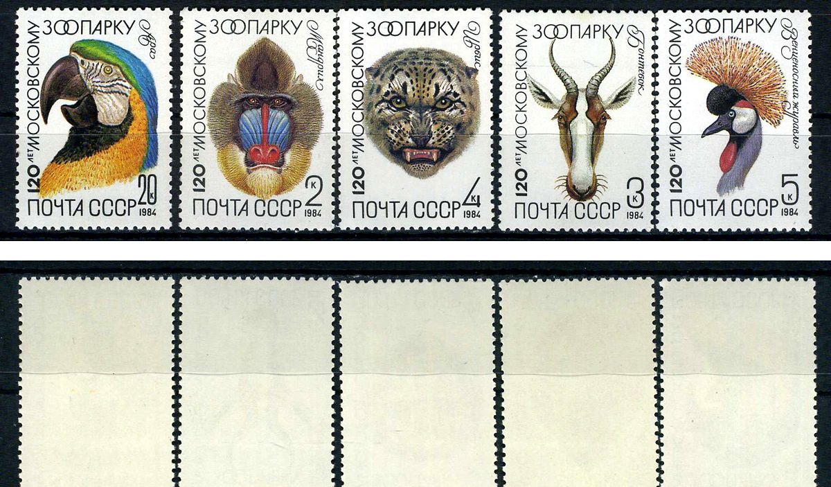 СССР набор из 5 марок (2, 3, 4, 5 и 20 копеек) 1984 120 лет Московскому зоопарку - обезьяна мандрил, антилопа бонтебок, ирбис, венценосный журавль, попугай ара Загорский 5408, 5409, 5410, 5411 и 5412    марка с оригинальным клеем, без следов наклейки (чис