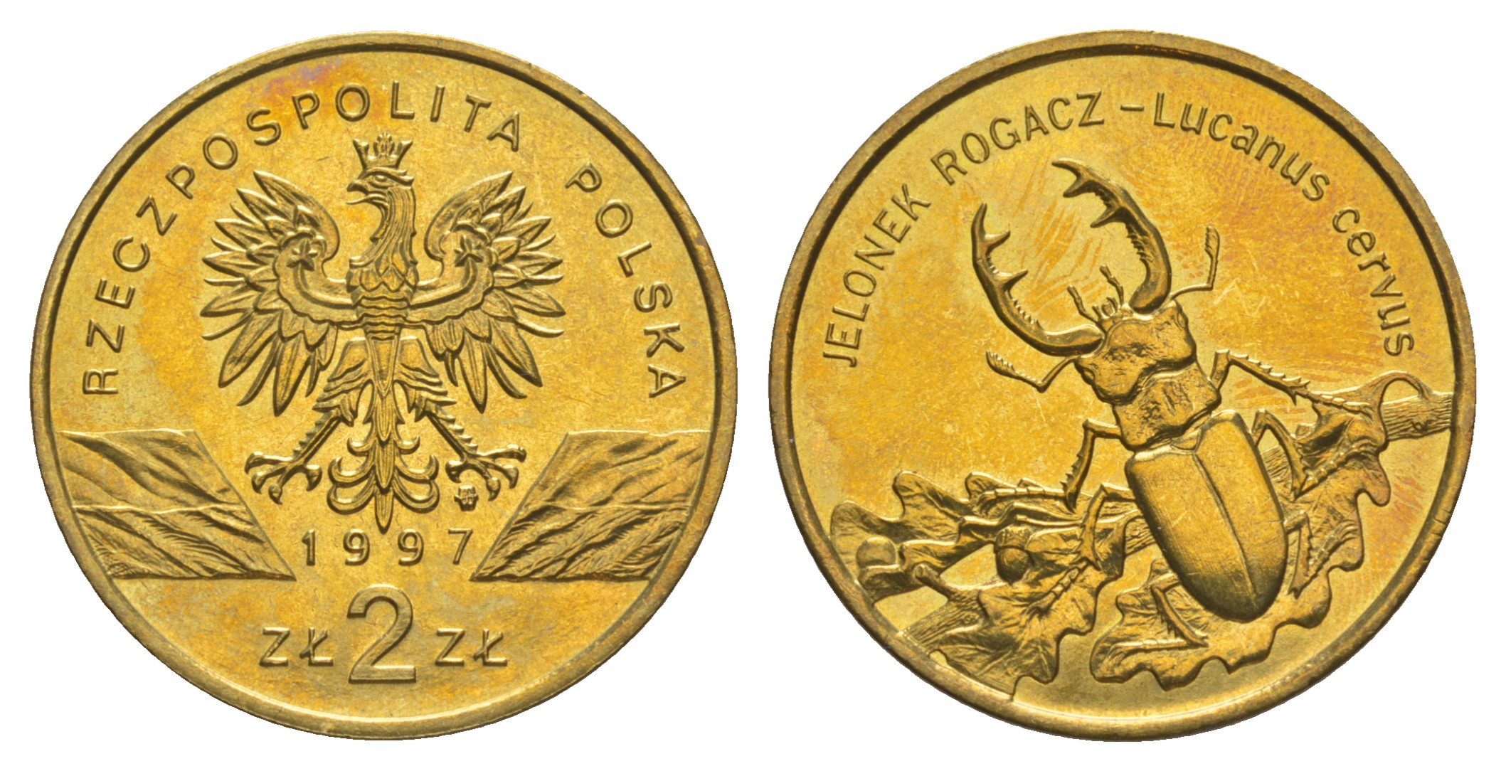 Польша 2 злотых 1997 MW, серия сохраним природу, жук-олень KM 329 нордик  UNC  413-5542