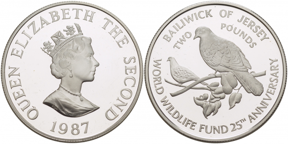 Джерси 2 фунта 1987 серия 25 лет защиты окружающей среды, голуби KM 70a серебро PROOF 1068-6-32