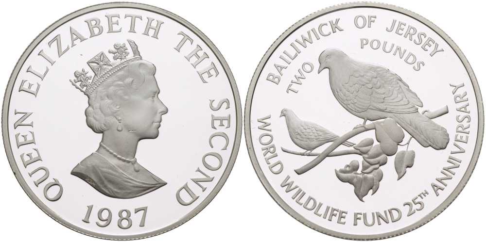 Джерси 2 фунта 1987 серия 25 лет защиты окружающей среды, голуби KM 70a серебро PROOF 1080-5-54