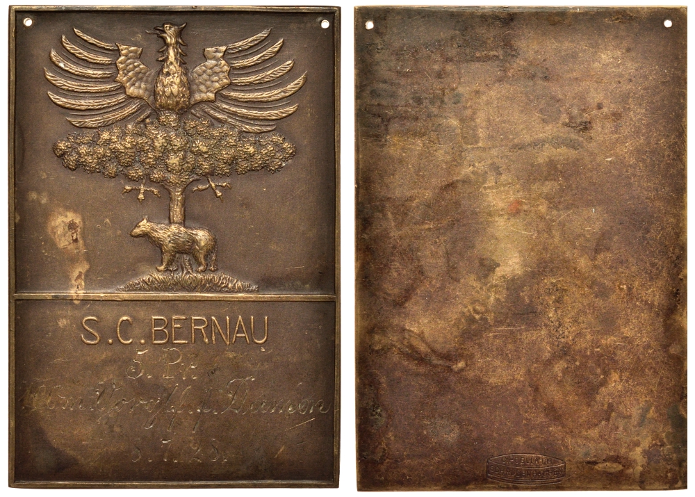 ГЕРМАНИЯ ПЛАКЕТКА 1828 ВЕРХОВНЫЙ СУД В БЕРНАУ (БЕРЛИН), 65*45 мм, 56 гр бронза 1082-7-33