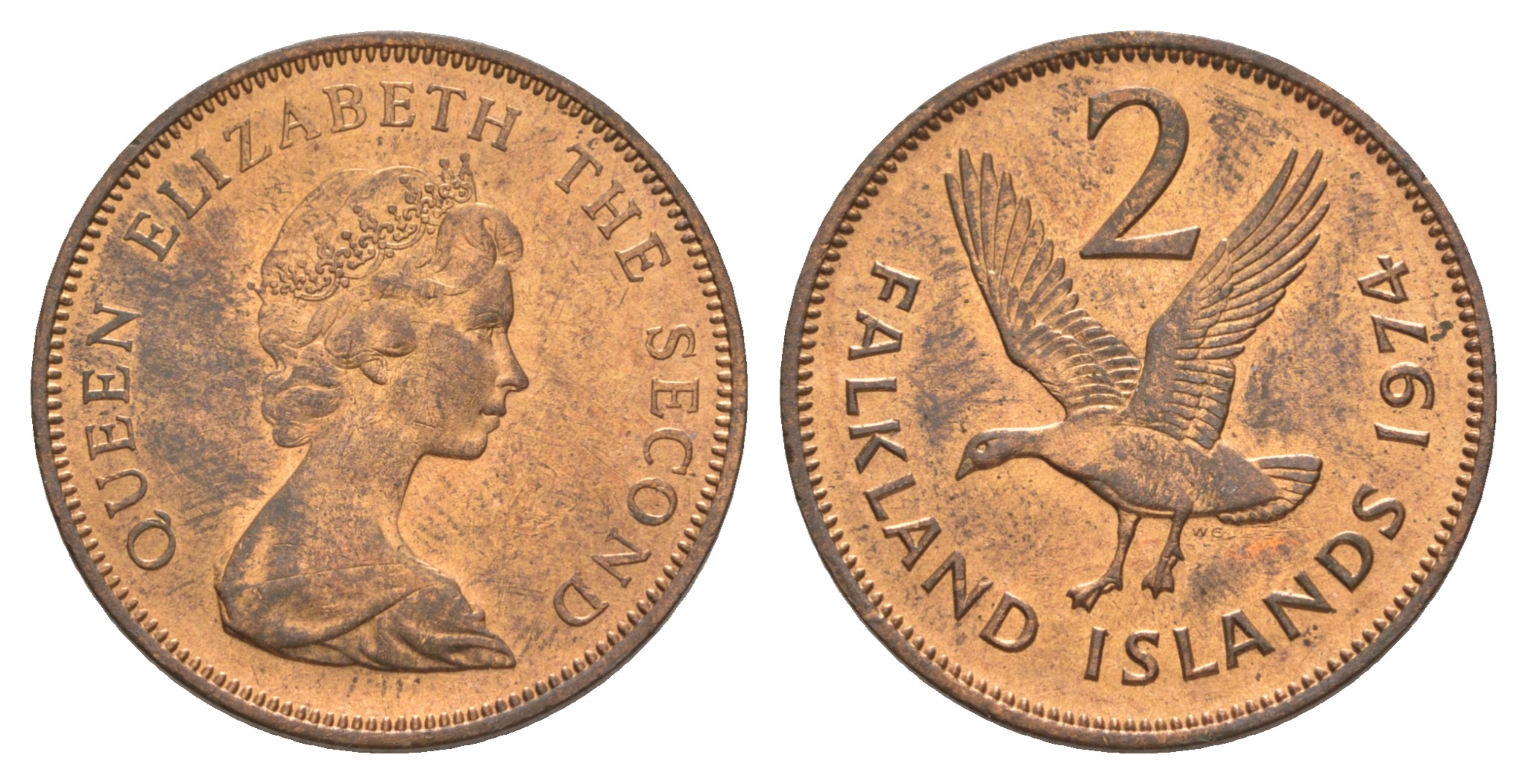 Фолклендские острова 2 пенса 1974 Елизавета II (1952-2022), магелланов гусь KM 3 бронза aUNC 4641-116