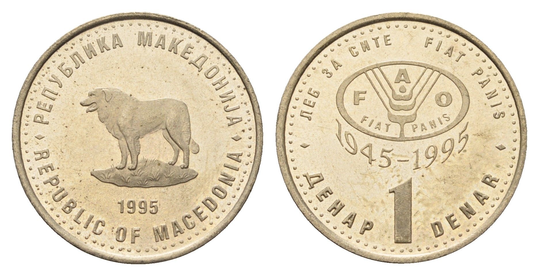 Македония 1 денар 1995 50 лет ФАО KM 5a медь цинк никель UNC 4688-735