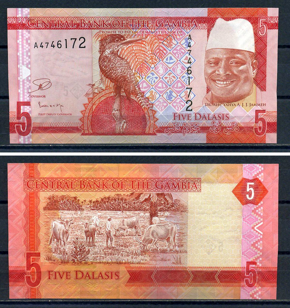 Гамбия 5 даласи ND (2015) Яйя Джамме, птица, пастух с быками Pick 31  бумага  UNC (пресс) 448-6-1-3