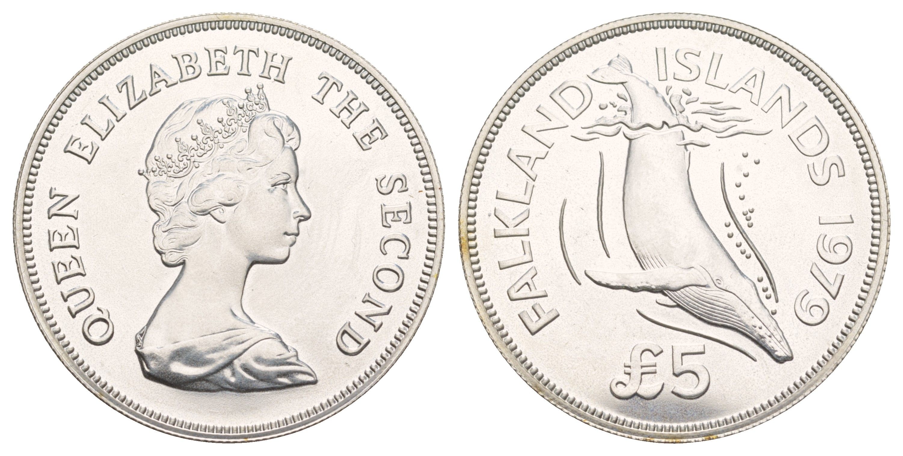 Фолклендские острова 5 фунтов 1979 серия сохраним наш мир, горбатый кит KM 11 серебро BU 413-3313