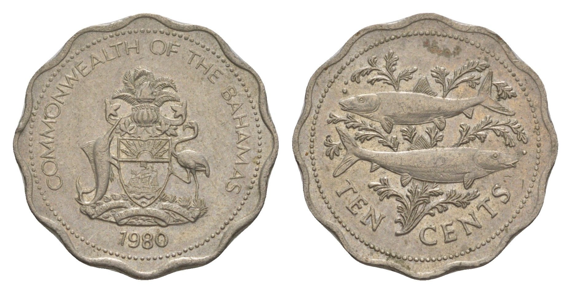 Багамские острова (Багамы) 10 центов 1980 KM 61 медно-никель 4650-635