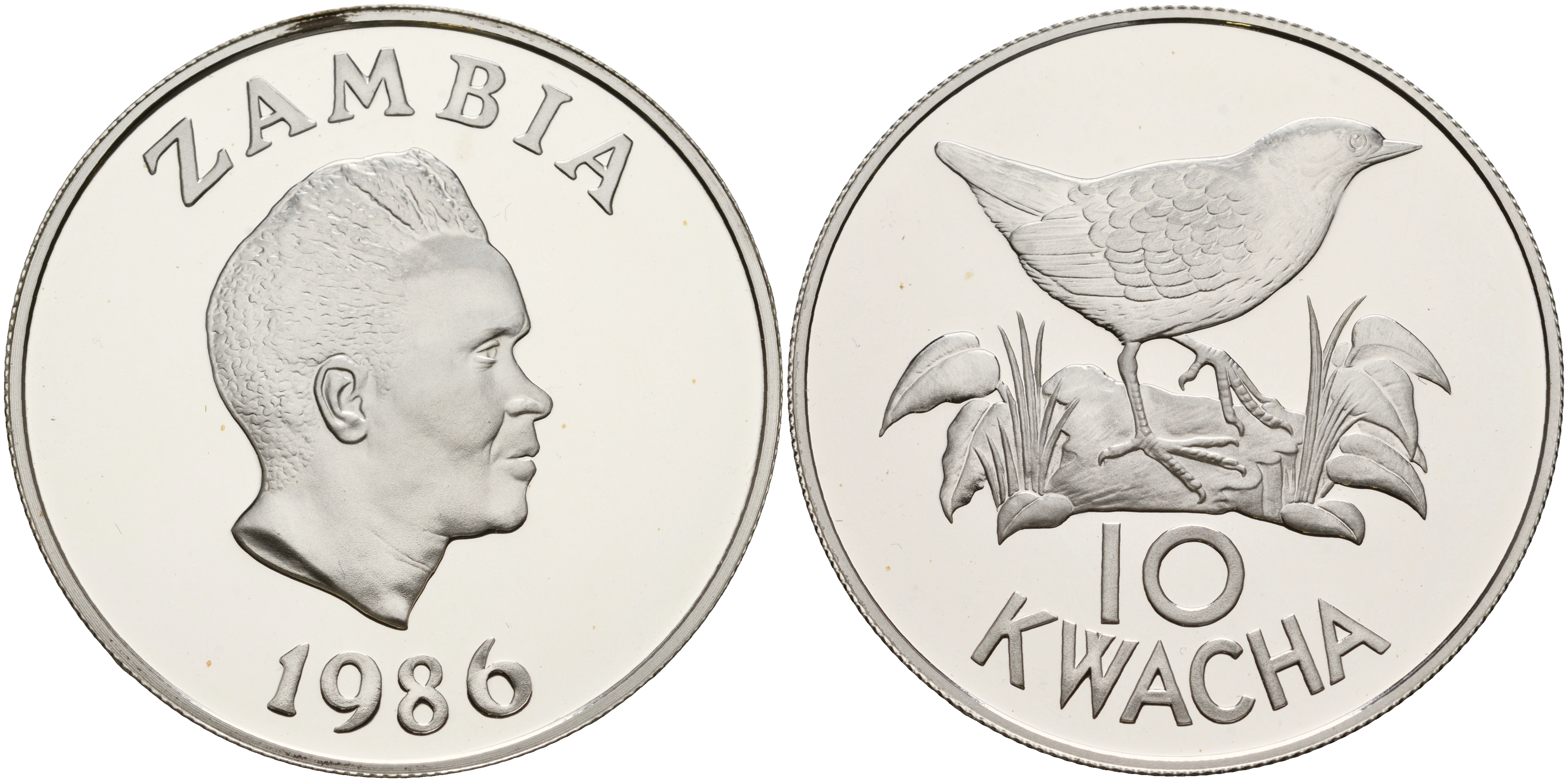 Замбия 10 квача 1986 WWF, серия защита окружающей среды, белокрылый пушистик,  тираж 25000 экз. KM 25 серебро PROOF 11-082-14
