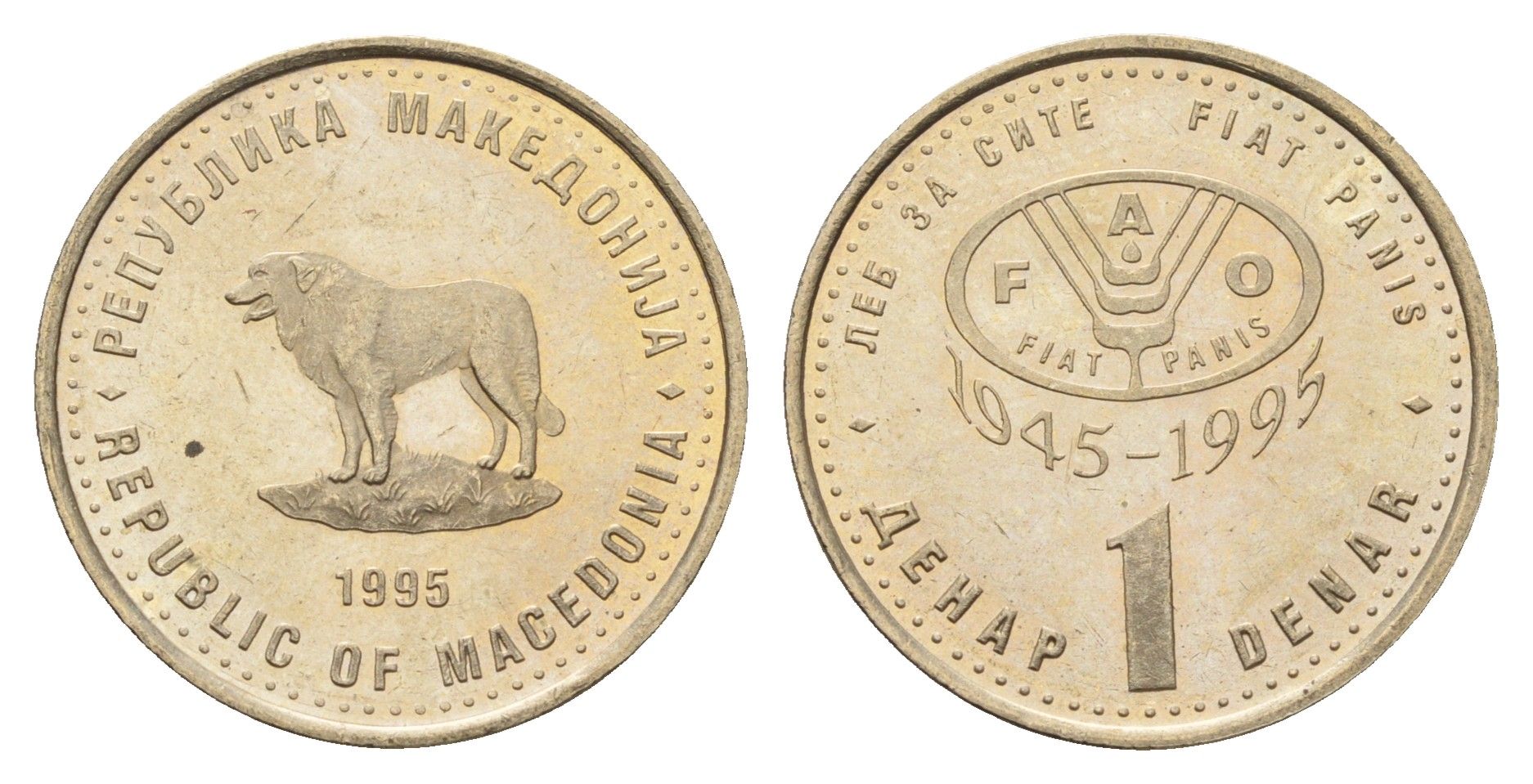 Македония 1 денар 1995 50 лет ФАО KM 5a медь цинк никель UNC 4688-737