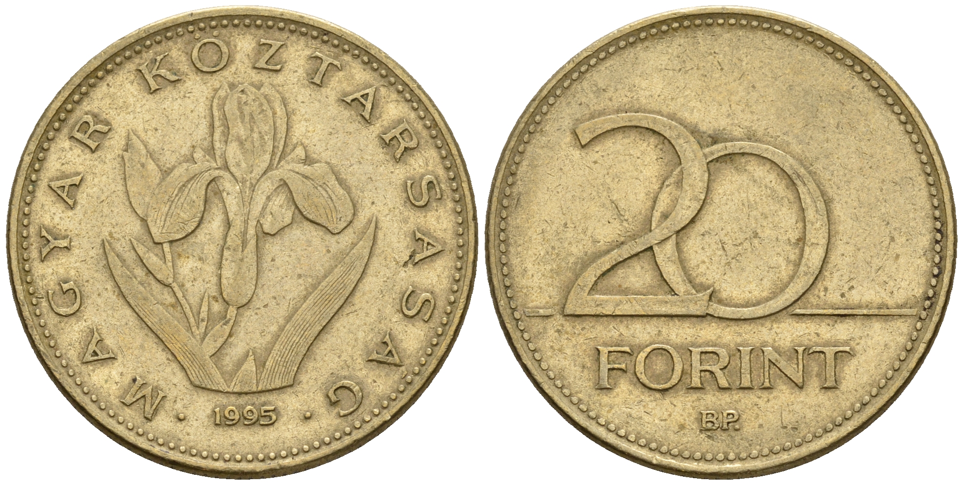 Венгрия 20 форинтов 1995 венгерский ирис KM 696 никель латунь 259-312