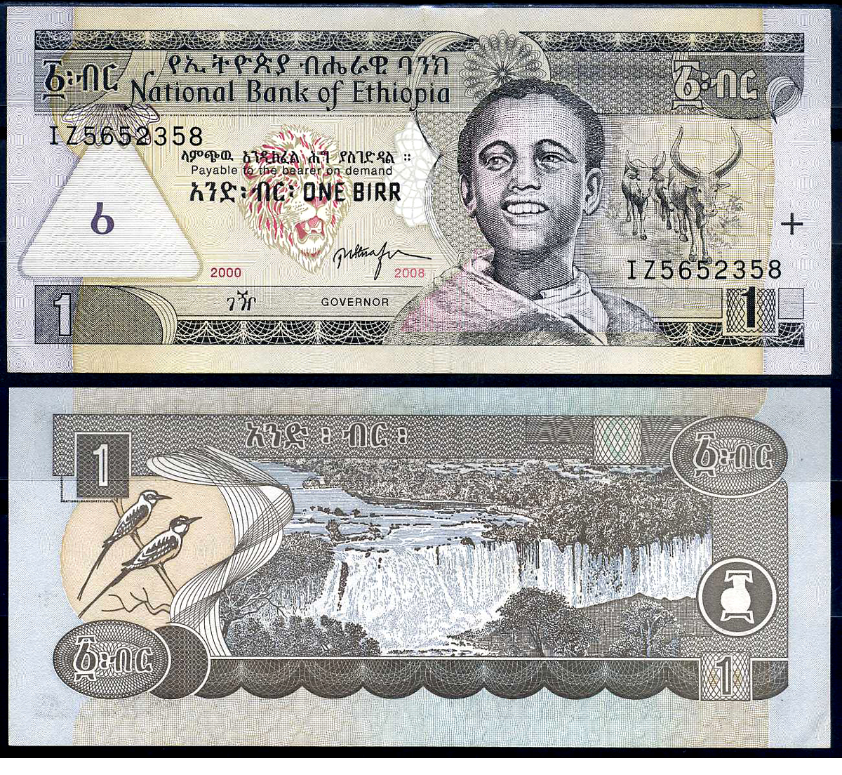 Эфиопия 1 быр ED 2000 AD 2008 Pick 46 e бумага 8592-10-3-2