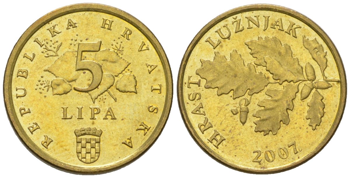 Хорватия 5 лип 2007 нечетный год KM 5 сталь плакированная латунью  UNC  4124-949