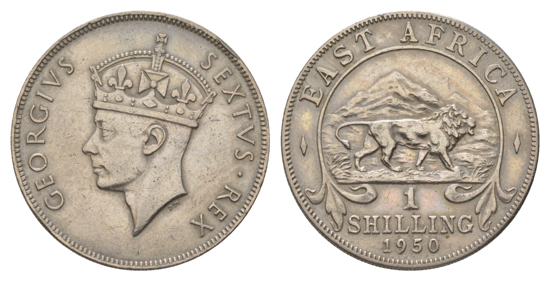 Британская Восточная Африка 1 шиллинг 1950 Георг VI (1936-1952) KM 31 медно-никель 4626-724