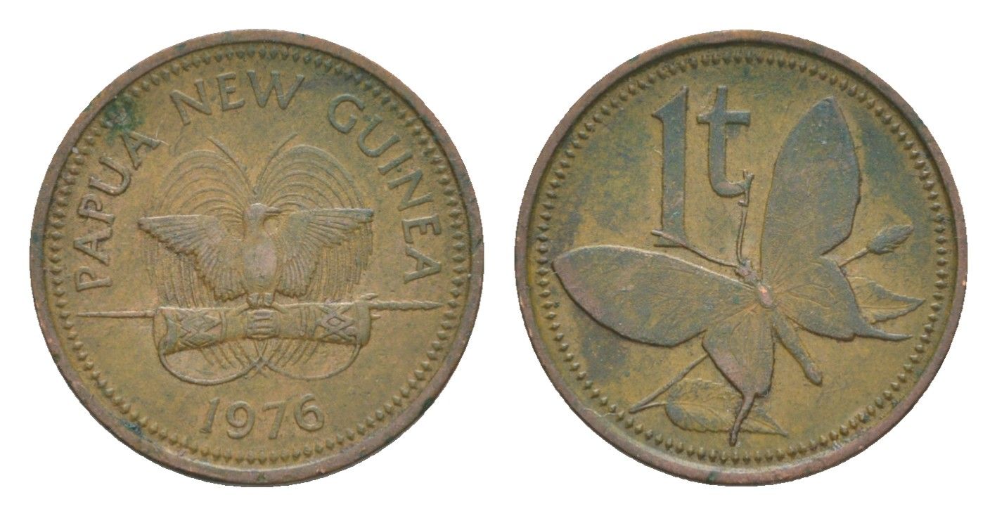 Папуа - Новая Гвинея 1 тойя 1976 KM 1 бронза 4630-1044