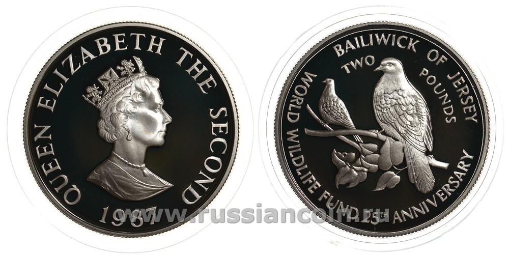 Джерси 2 фунта 1987 серия 25 лет защиты окружающей среды, голуби KM 70a серебро PROOF 02-056-21