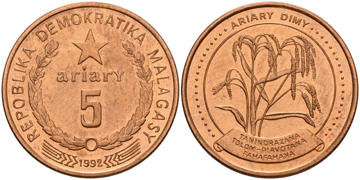 Мадагаскар 5 ариари 1992 KM 17 сталь плакированная медью UNC 4118-531