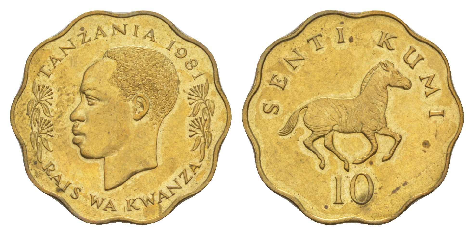 Танзания 10 центов 1981 KM 11 никель латунь UNC 4650-312