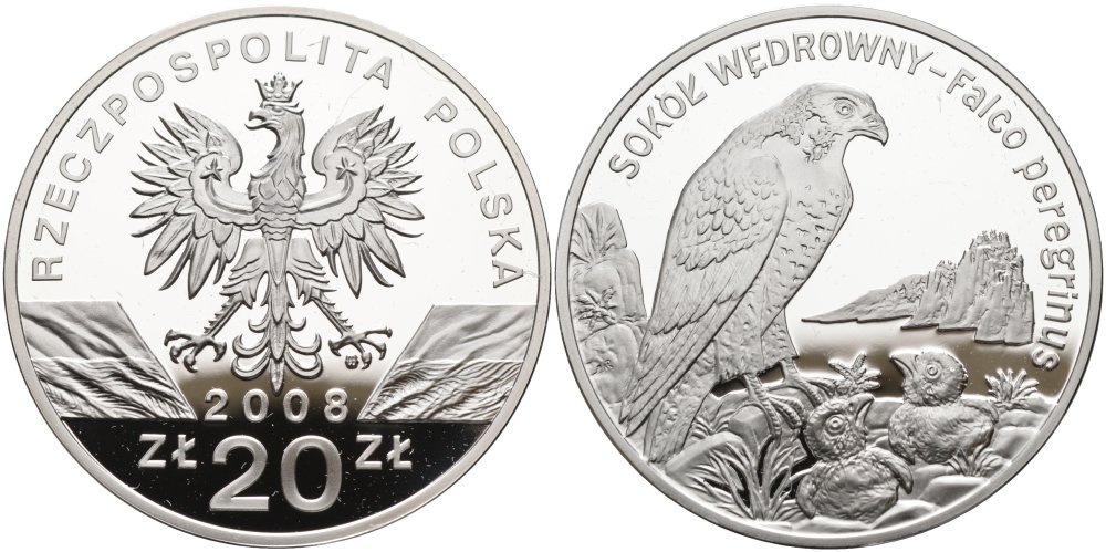 Польша 20 злотых 2008 серия всемирная природа, сапсан KM 637 серебро PROOF 01-150-12